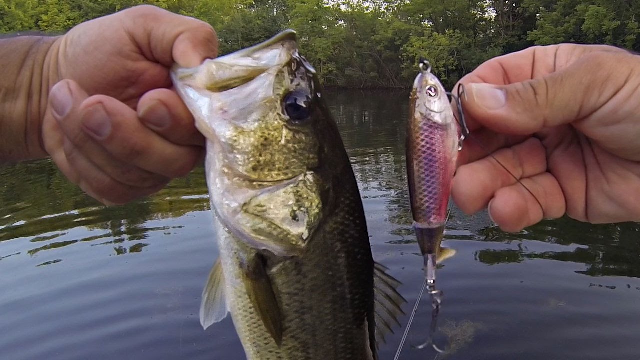Fishing Tip: Double Top Water Technique for Team Tournaments